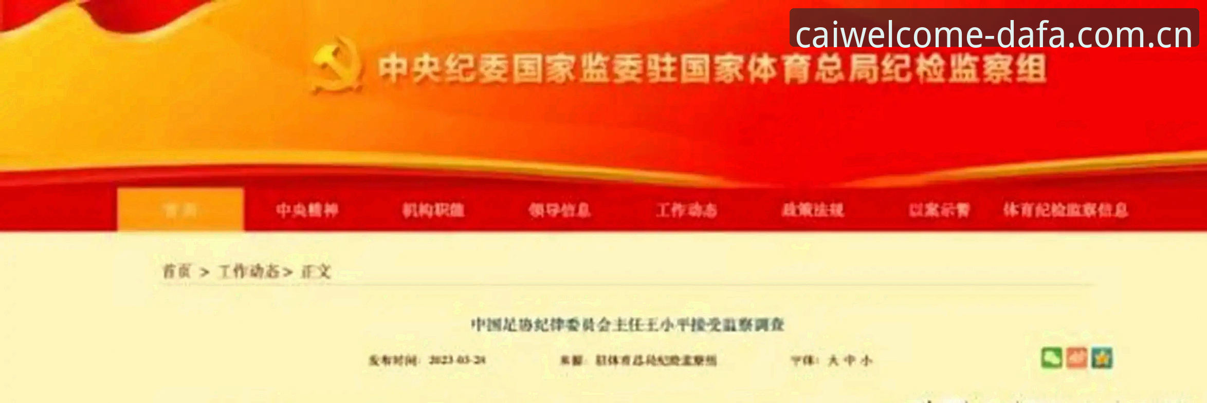 中国足协第三批禁足名单深度评测：从行业震荡看体育精神的未来走向