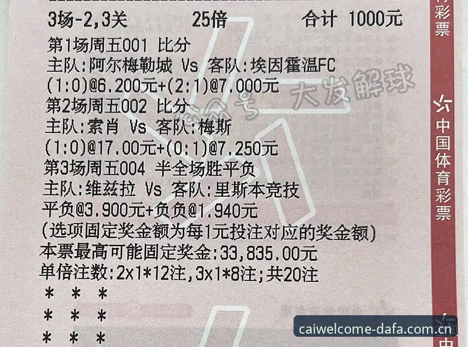 大发彩票登录入口 大发彩票平台登录入口2025新版详解