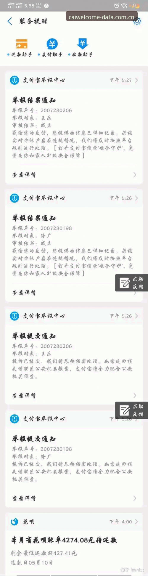 大发彩票畅玩版功能详解：2025新版深度分析与用户体验全面解析